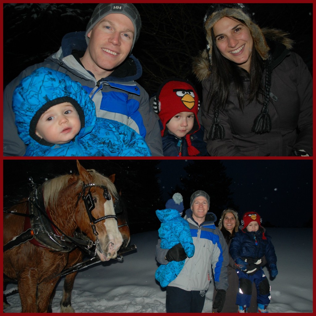 Tremblant Family horse sleigh ride