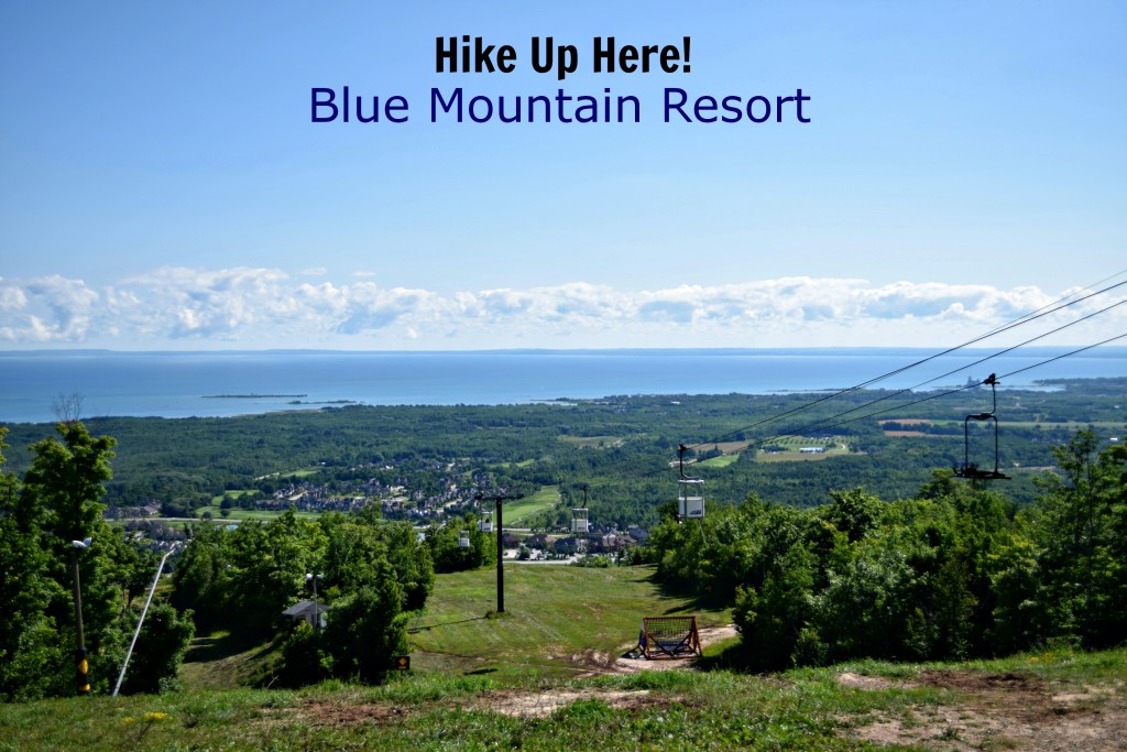 Blue Mountain Hikes