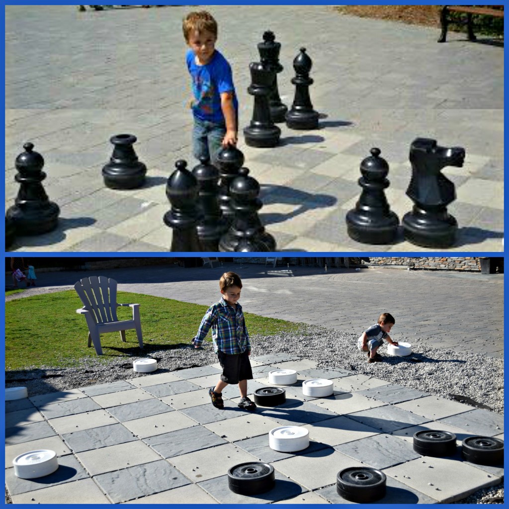 Blue Mtn Chess & Checkers