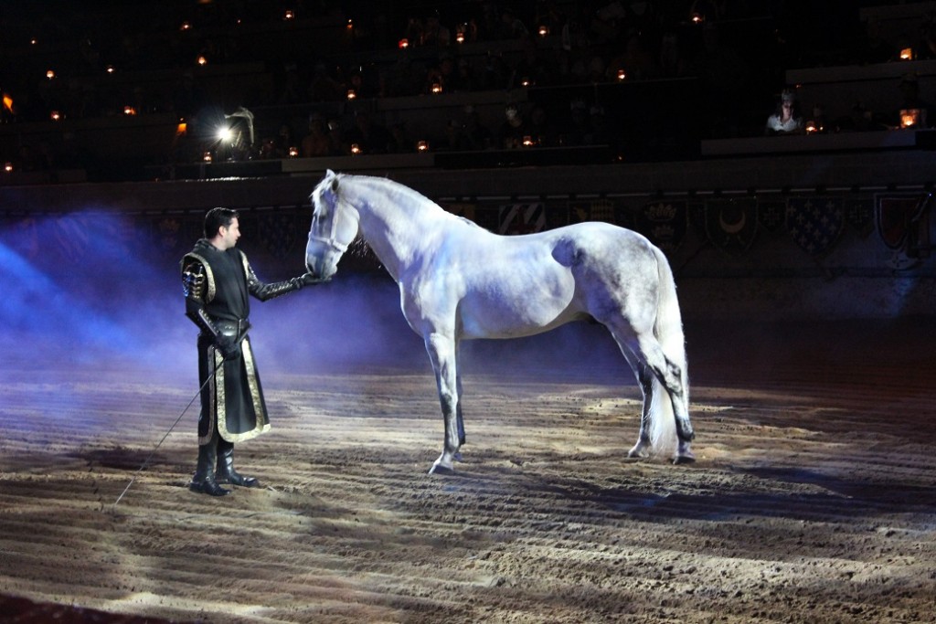 Medieval Times horse show