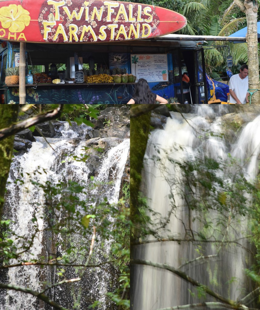 I took these two contrasting pictures of the falls using Guide mode. Under advanced operation, I selected "show water flowing".  The faster the shutter speed, the less blur.