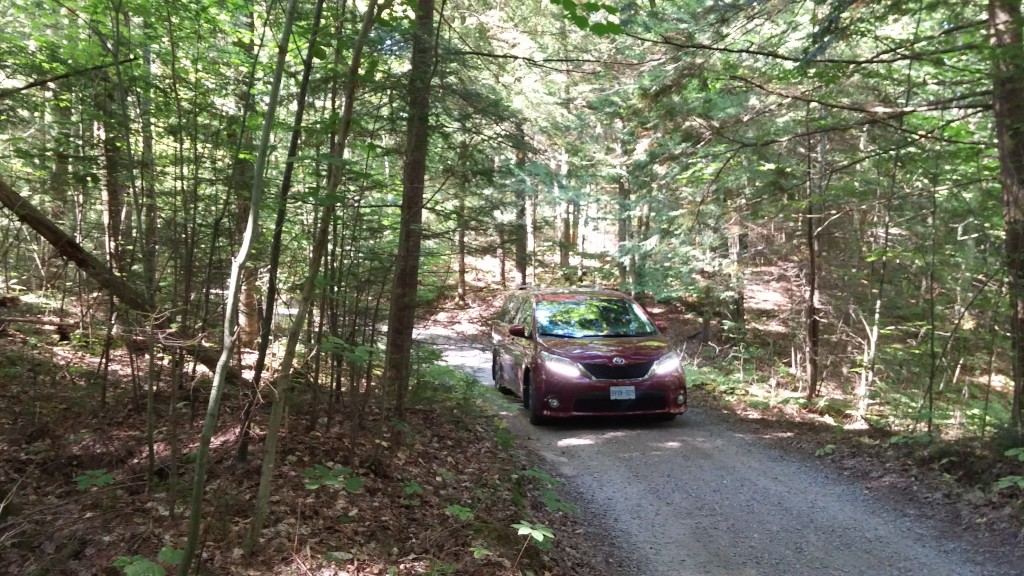 Toyota Sienna in the woods