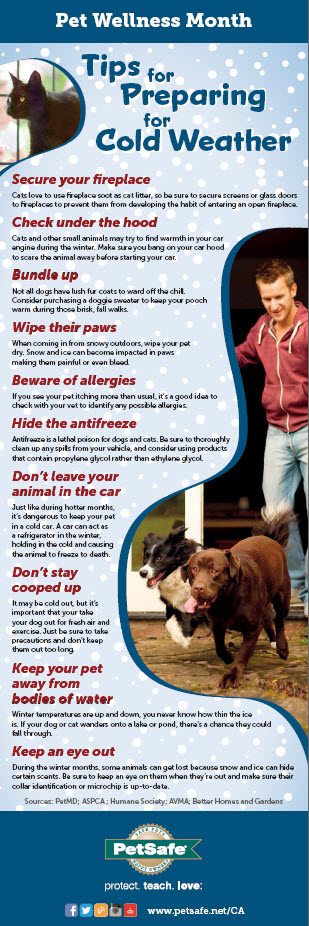 Pet Wellness Month infographic