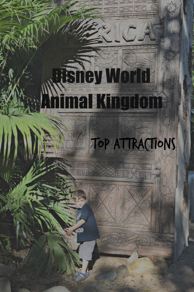 WDW Animal Kingdom top attractions (853x1280)