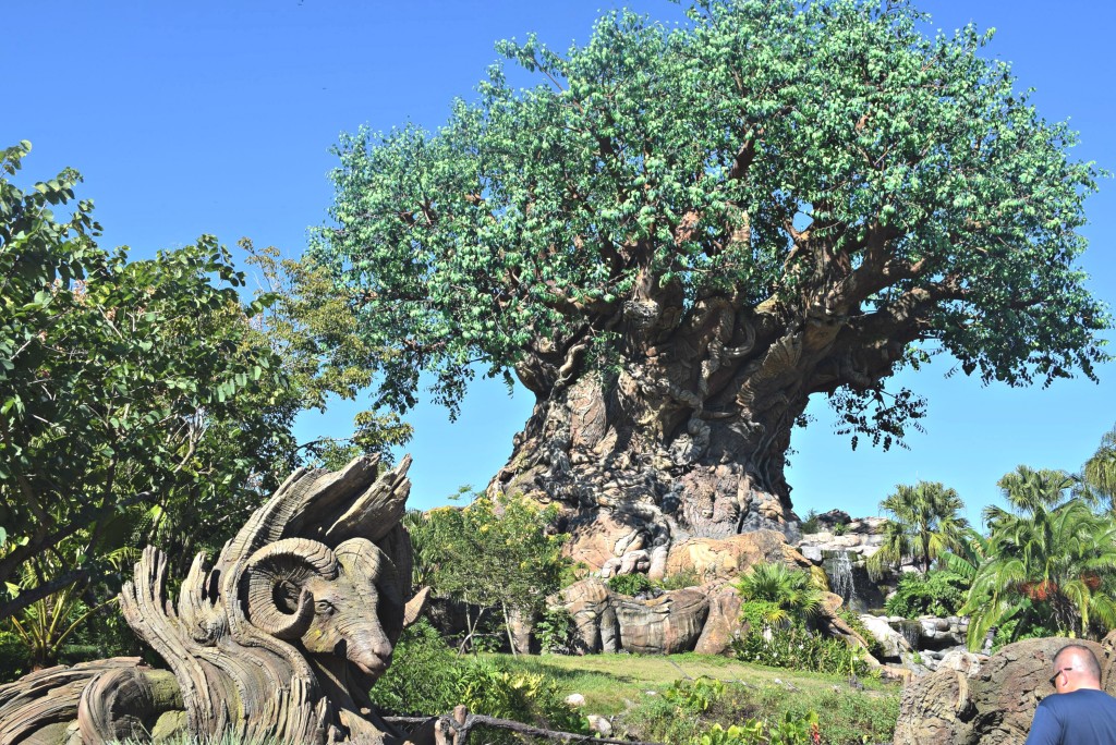 WDW The Tree of Life