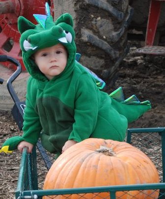 kyle pumpkin dragon