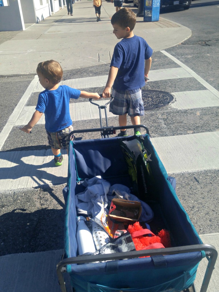 wagon-nate-and-kyle-pulling