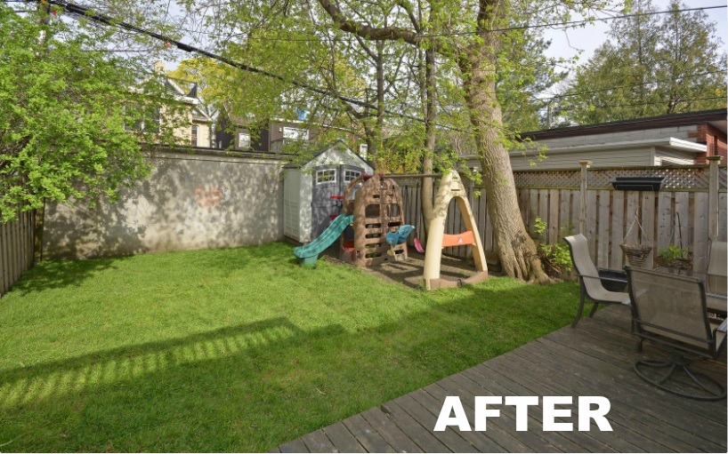 backyard after