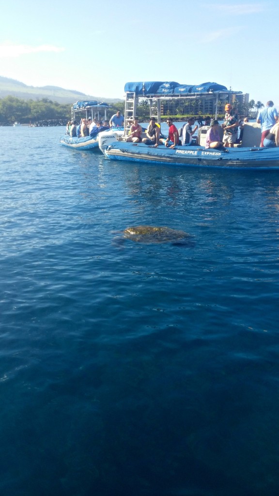 maui raft and snorkle