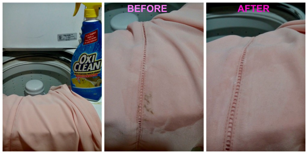 Oxi Clean Stain remover spray