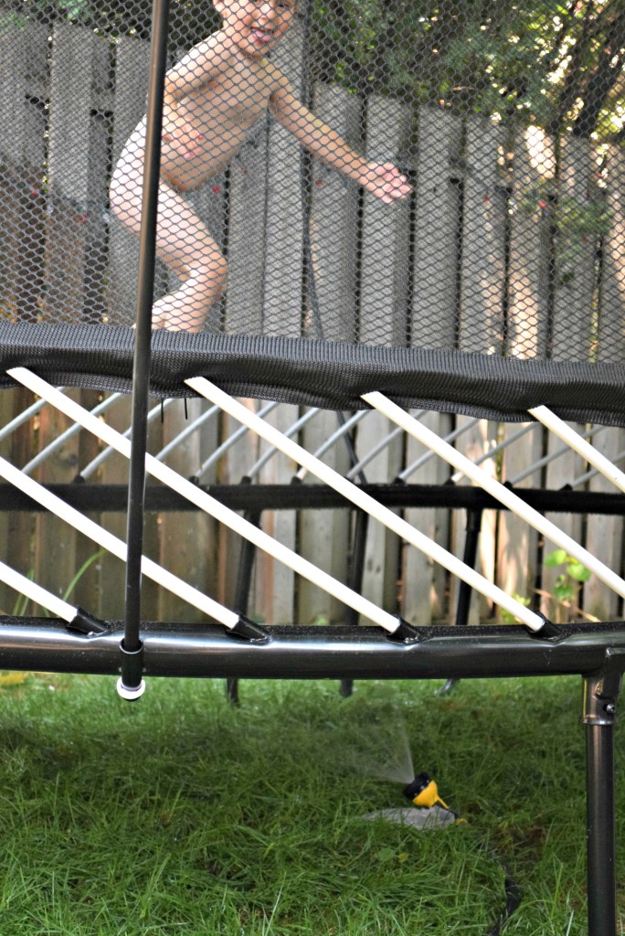 springfree sprinkler under trampoline